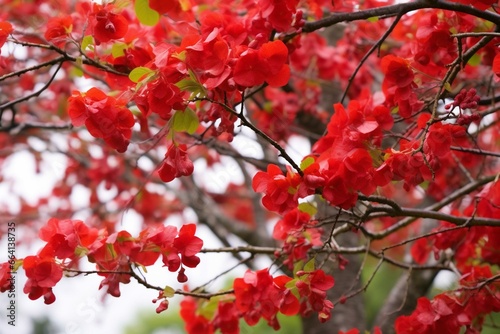Closeup of outdoor tree with vibrant red flowers. Generative AI