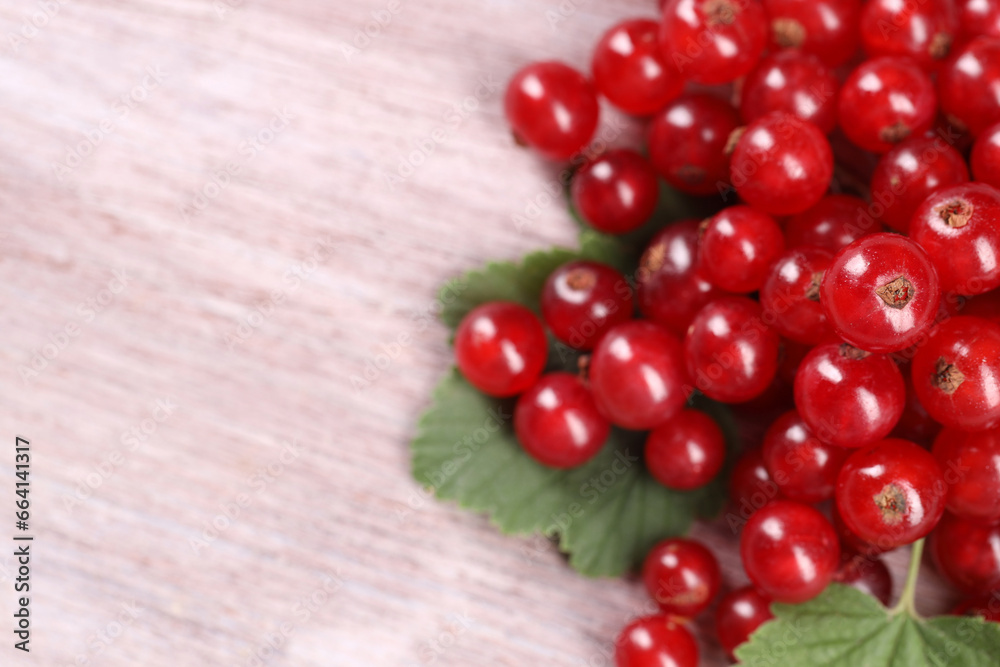 Ripe red currants on light table, closeup. Space for text Ripe red currants on light table, closeup. Space for text