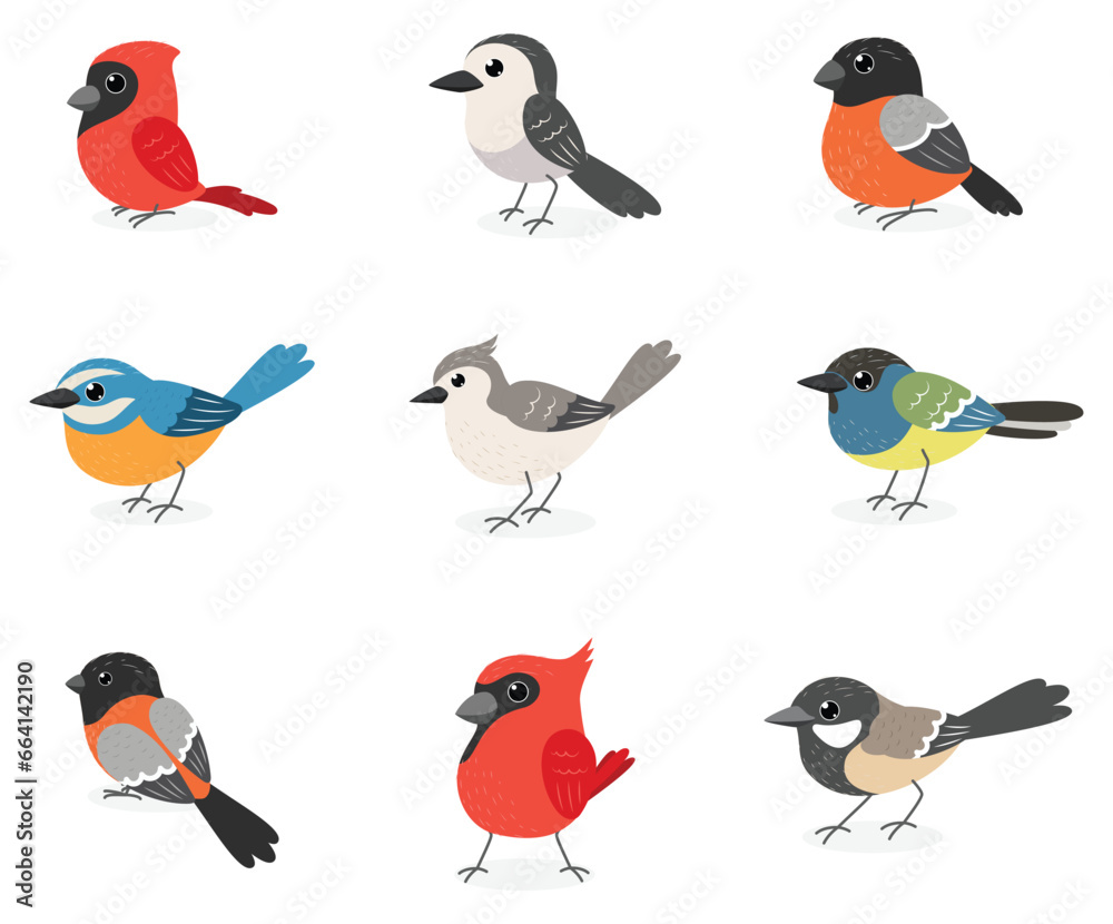 Cute winter birds cartoon, isolated on white background Cute winter birds cartoon, isolated on white background