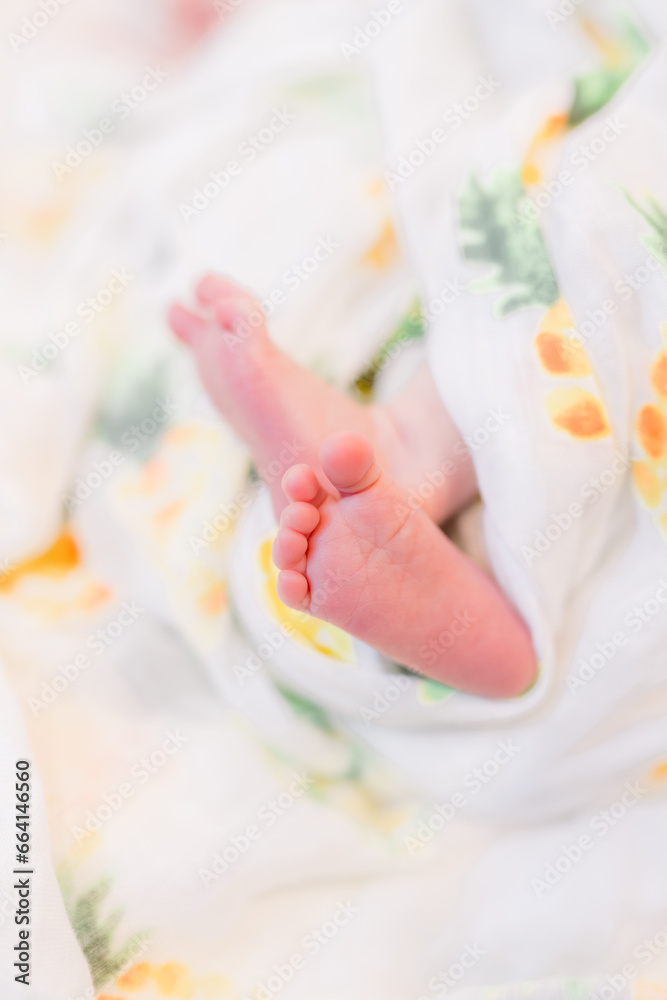 A close up of adorable newborn baby feet curled up with the foot faced out showing off all the tiny toes. A close up of adorable newborn baby feet curled up with the foot faced out showing off all the tiny toes.
