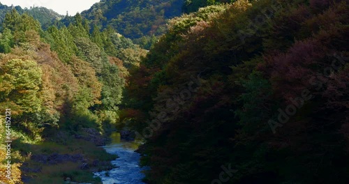 Scenery of a valley in Okutama with colorful autumn leaves. photo