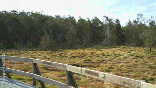 Panning shot on the boardwalk capturing unspoiled nature landscape along the public trail at Boondall wetlands reserve during dry season, Brisbane, Queensland. photo