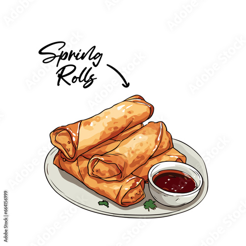 Vector illustration of fried spring rolls with tomato sauce on a plate.