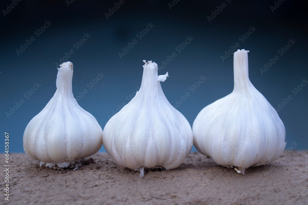 Obraz premium Garlic bulbs on a blue background. Close-up image.