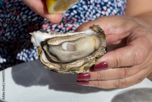 Eating of fresh live oysters at farm cafe in oyster-farming village, Arcachon bay, Cap Ferret peninsula, Bordeaux, France © barmalini
