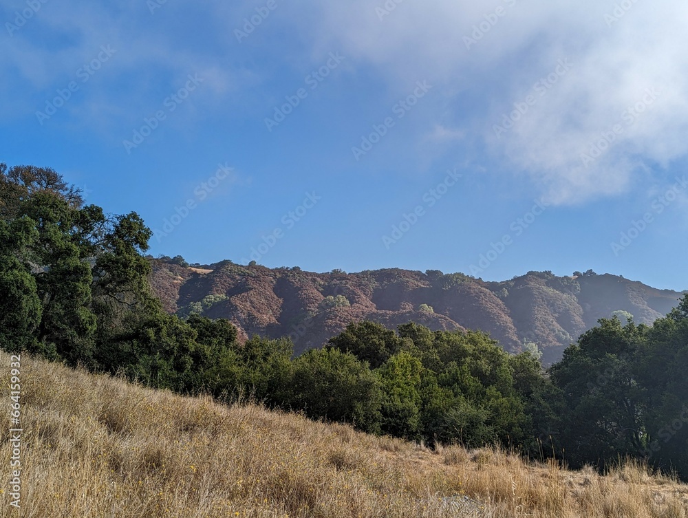 California landscape of oak trees scattered among the beautiful golden hills of the Las Trampas hiking trail in Contra Costa County