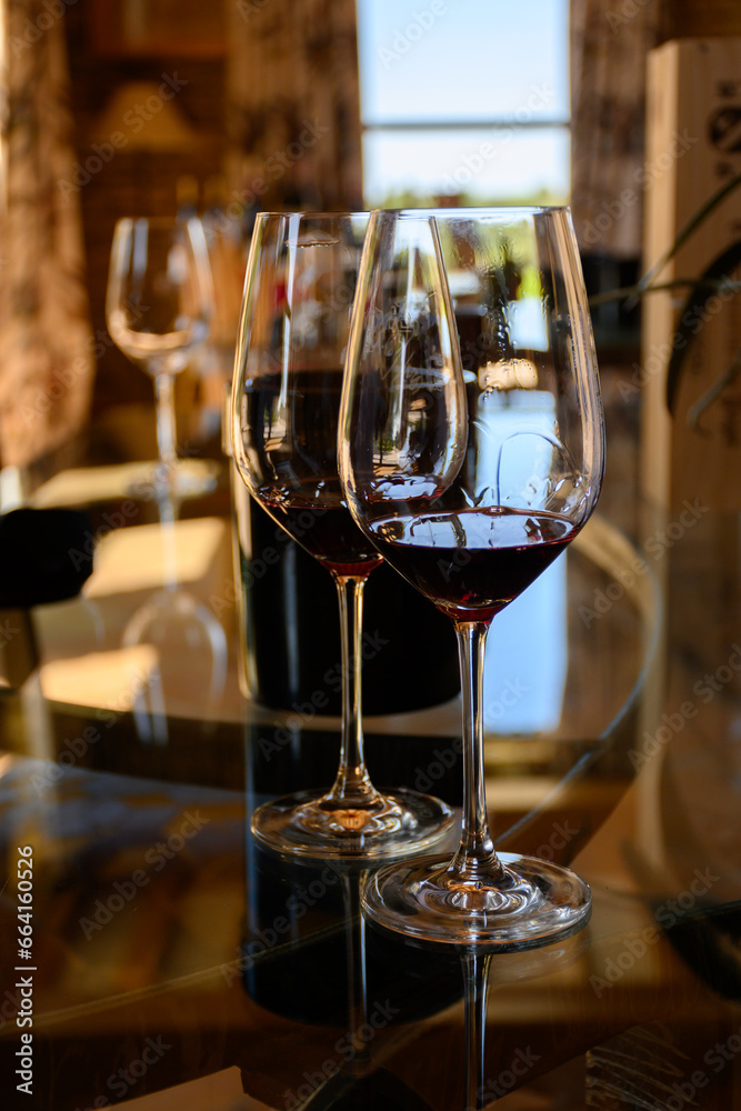 Tasting of red dry wine in Chateauneuf-du-Pape wine making village in France with green vineyards on large pebbles galets and sandstone clay soil Tasting of red dry wine in Chateauneuf-du-Pape wine making village in France with green vineyards on large pebbles galets and sandstone clay soil