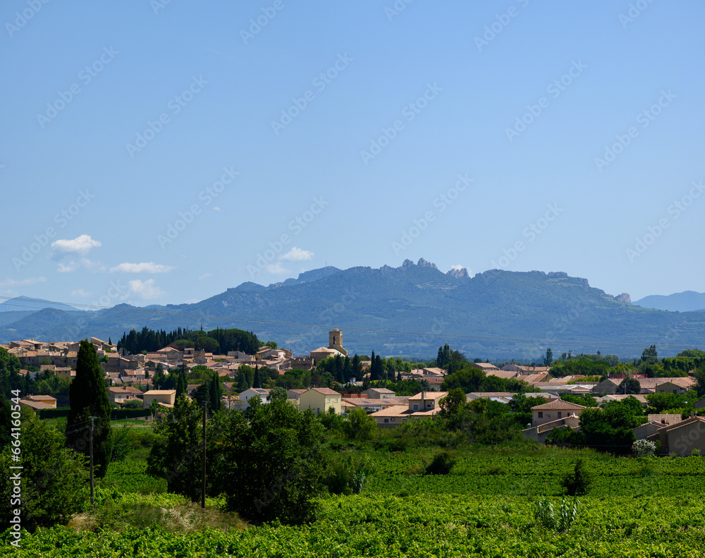 Vineyards of Chateauneuf du Pape appellation with grapes growing on soils with large rounded stones galets roules, view on Ventoux mountain, famous red wines, France