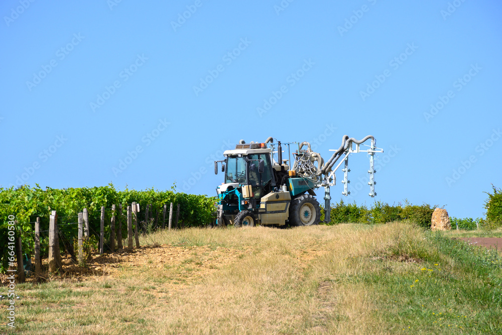 Obraz premium Vineyards of Pouilly-Fume appellation, making of dry white wine from sauvignon blanc grape growing on different types of soils, France