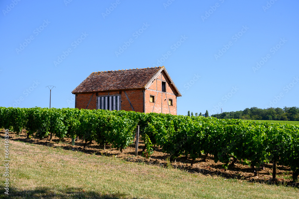 Poully-fume wine production region in Burgundy, France on Loire river near Poully-sur-Loire village with chateau, hilly vineyards in summer Poully-fume wine production region in Burgundy, France on Loire river near Poully-sur-Loire village with chateau, hilly vineyards in summer