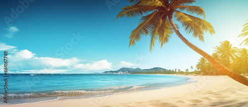 Tropical beach background with a palm tree on a bright sunny day.