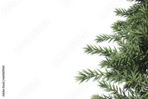 Digital png illustration of tree branches on transparent background