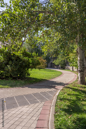 Wallpaper Mural Two-color cement tile walkway in an urban park with leafy trees Torontodigital.ca