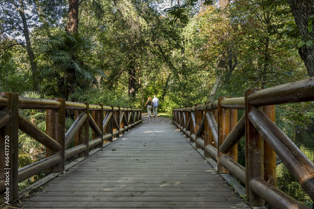 A bridge with railings made of wooden logs, planks in a park with many trees and a couple taking a walk A bridge with railings made of wooden logs, planks in a park with many trees and a couple taking a walk