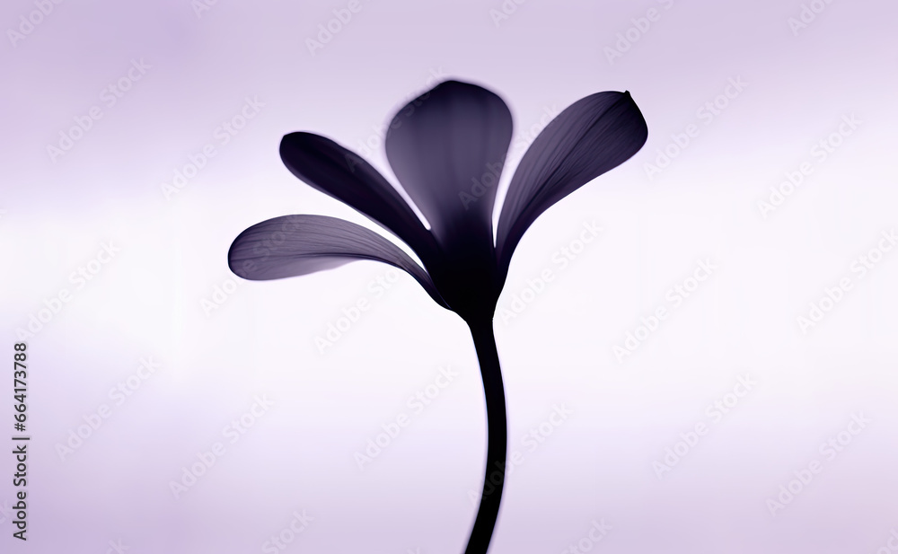 Black and blue flower in night, transparency, symbolic, contrast, macro, fantasy, minimalism , chrysanthemum, water lily, dark background, gradient, fashion, y2k style, Generative Ai