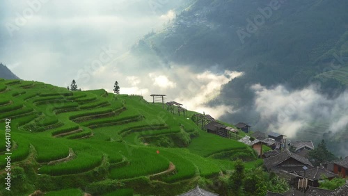 Terrace in zhaoxing dong village guizhou china photo