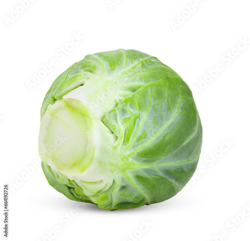 Brussel Sprouts isolated on transparent png © sommai