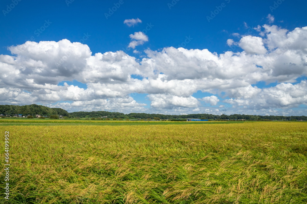 田園風景