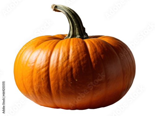 orange pumpkin isolated on transparent background