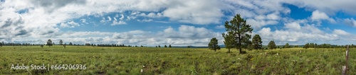 Panoramic view of big clouds over green meadows in Arizona