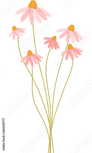 Fototapeta Naklejka Na Ścianę i Meble -  pink daisy flower watercolor hand draw illustration