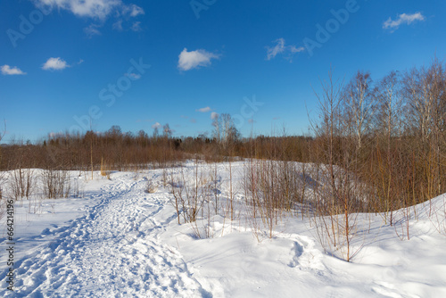 path in a grove © Maslov Dmitry