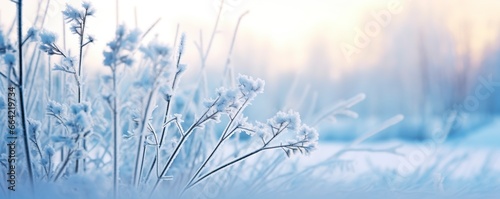 Frozen snowy grass  winter natural abstract background. beautiful winter landscape.