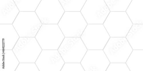 Abstract background with hexagon and white Hexagonal Background. Luxury White Pattern. Vector Illustration. 3D Futuristic abstract honeycomb mosaic white background. geometric mesh cell texture.