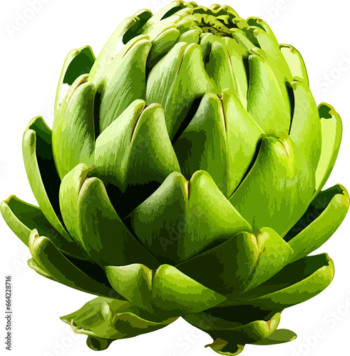 Artichoke clip art