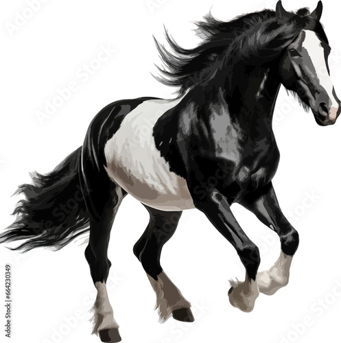 Fototapeta Naklejka Na Ścianę i Meble -  Black and white horse running clip art