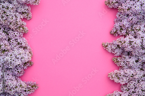 Layout of purple lilacs on a pink background, place in the center. Natural flower arrangement, flat lay, top view.