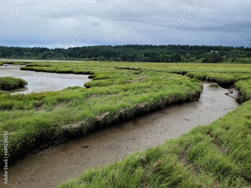 Stream flow into bigger river near a wetland