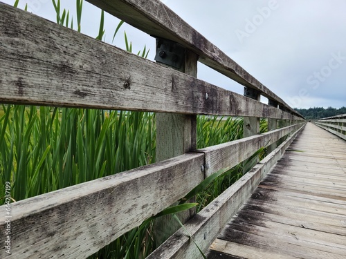 Perspective, close up view of a wooden bridge over the river near wetland