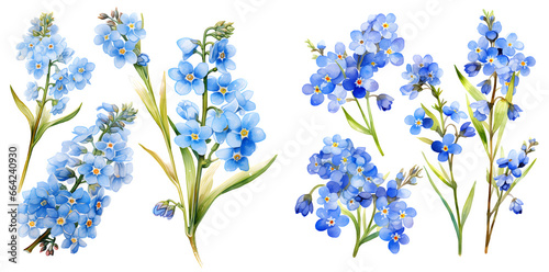 Forget me not flower watercolor  illustration clipart. Generative AI. photo