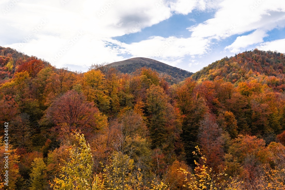 autumn in the mountains