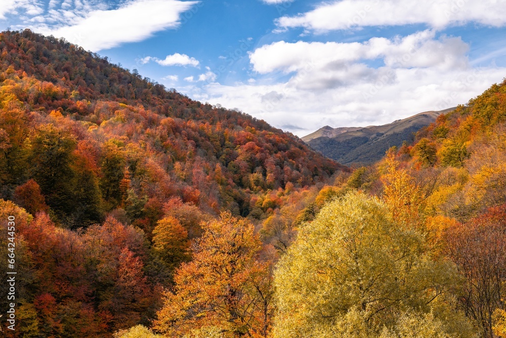 autumn in the mountains