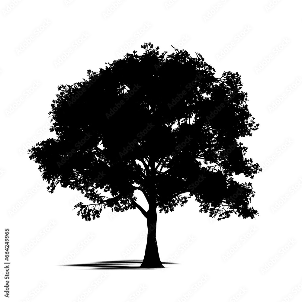 Fototapeta premium Leafy tree silhouette with shadow on transparent background
