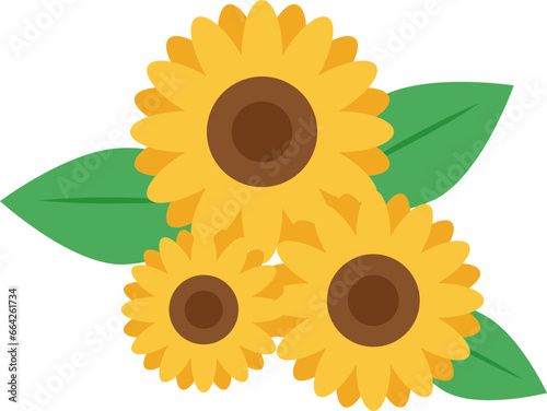 sunflower isolated on white