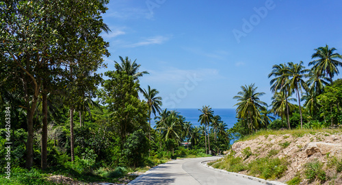 Koh Tao island landscape street view on the sea and palm trees in Koh Tao island  Thailand