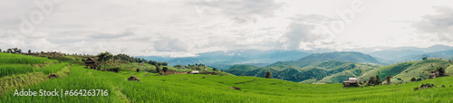 Panorama Green rice field with mountain background at Pa Pong Piang Rice Terraces Chiang Mai, Thailand. Terraced rice field with fog and dramatic sky. a valley among the rice terraces.