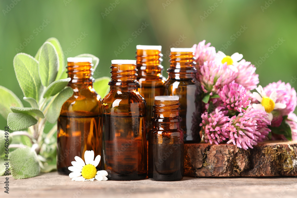 Bottles with essential oils, herb and flowers on wooden table against blurred green background, closeup Bottles with essential oils, herb and flowers on wooden table against blurred green background, closeup