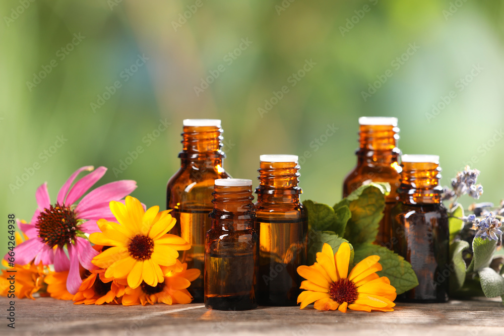 Bottles with essential oils, herbs and flowers on wooden table against blurred green background Bottles with essential oils, herbs and flowers on wooden table against blurred green background