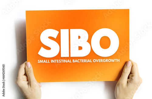 Tableau sur toile SIBO - Small Intestinal Bacterial Overgrowth is an imbalance of the microorganis