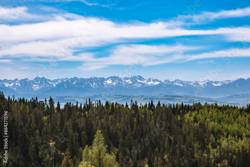 A very beautiful landscape with a valley and a forest, in the distance is seen a high mountain chain covered with snow