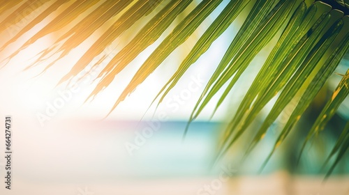 Blurry tropical beach with green palm leaf and bokeh sun light wave background Summer vacation and business travel concept