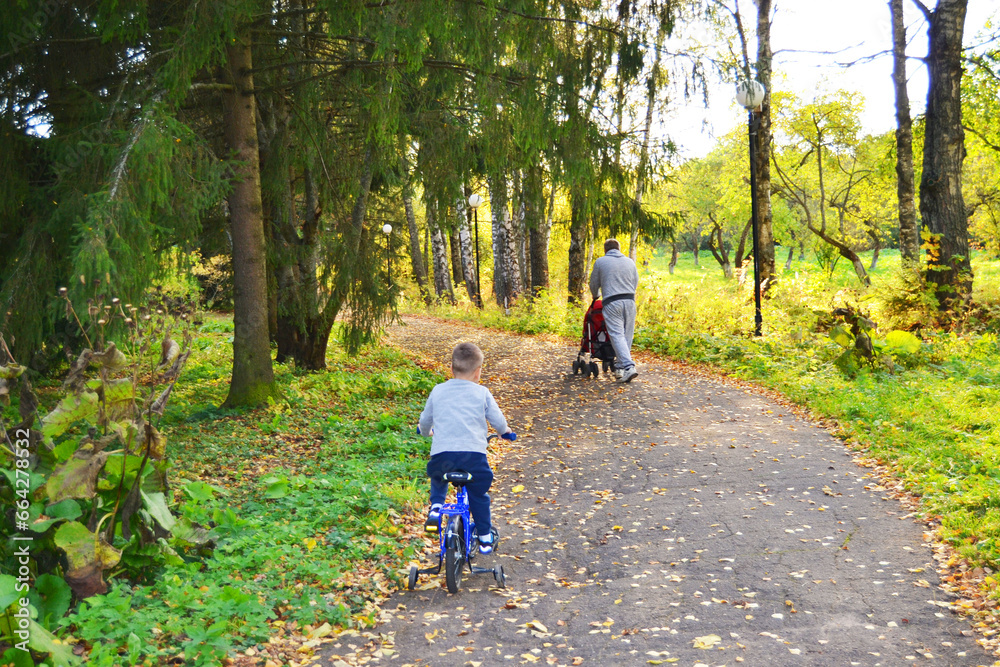 Fototapeta premium Family walking in the park. Dad with stroller and boy on bike.