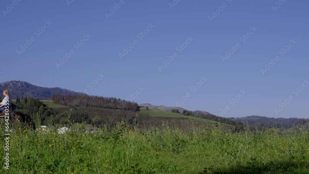 Woman riding a horse in gallop in a meadow. Freedom concept Woman riding a horse in gallop in a meadow. Freedom concept
