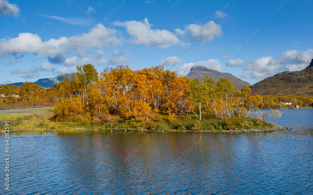 beautiful landscape in Norway with trees with yellow leaves in a little island at the edge of the lake beautiful landscape in Norway with trees with yellow leaves in a little island at the edge of the lake