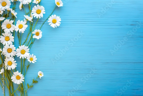 Daisy border on blue wood. © AbulKalam