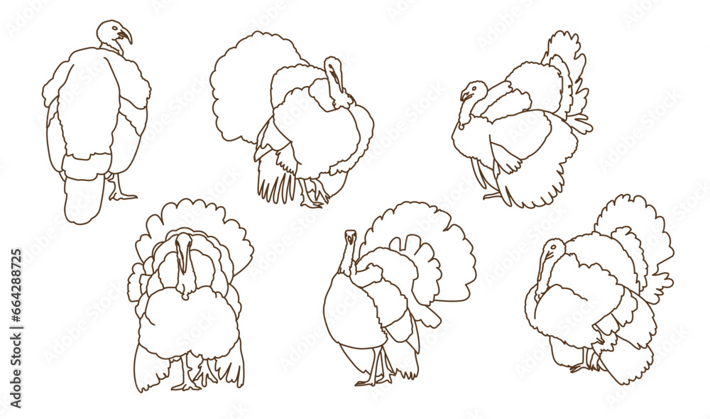 Turkey Illustration Outlines - Collection 3 Turkey Illustration Outlines - Collection 3